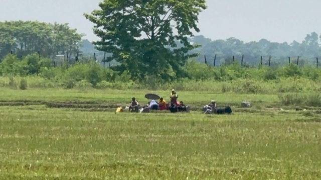 সীমান্তে পুশইন তৎপরতা