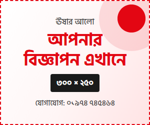 ডেমো — 300x250